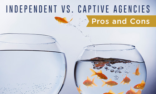 Independent vs Captive Agencies